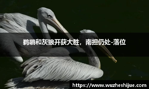 芒果体育官方app下载