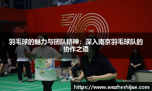 羽毛球的魅力与团队精神：深入南京羽毛球队的协作之道